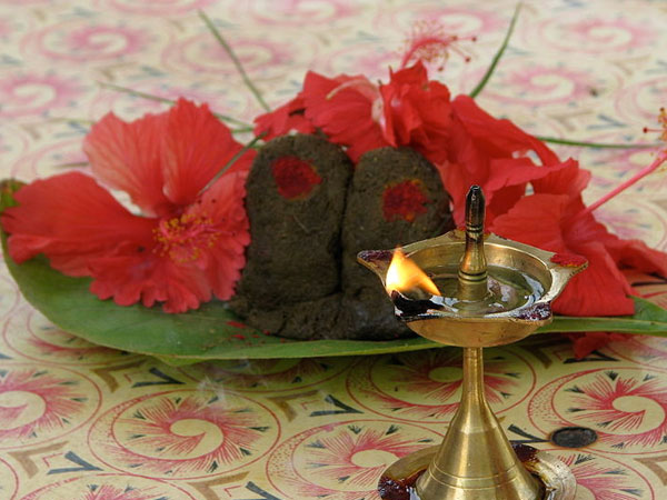 ಸರ್ಪರಾಜ ಪೂಜೆ ಮಾಡಿ
