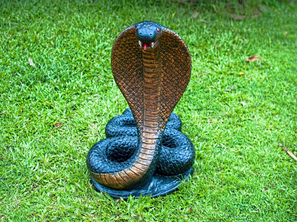 ಕೆಲವು ಶಕ್ತಿಯುತ ಮಂತ್ರಗಳನ್ನು ಪಠಿಸಿ