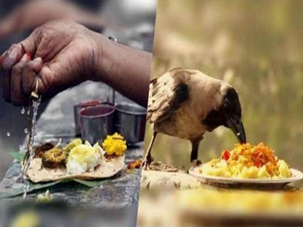 ಪಿತೃದೋಷದಿಂದ ಮುಕ್ತಿ ಪಡೆಯಬಹುದೇ?