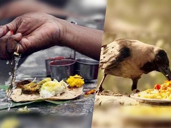 9. ದರ್ಬೆಯನ್ನು ಪವಿತ್ರ ಎನ್ನಲು ಕಾರಣವೇನು?