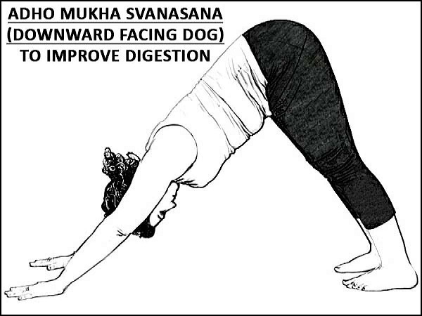 3. ಅಧೋಮುಖ ಶ್ವಾನಾಸನ