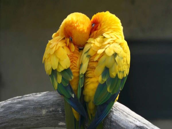 3. ಹಣಕಾಸಿನ ಮೇಲೆ ಪ್ರತಿಕೂಲ ಪರಿಣಾಮ