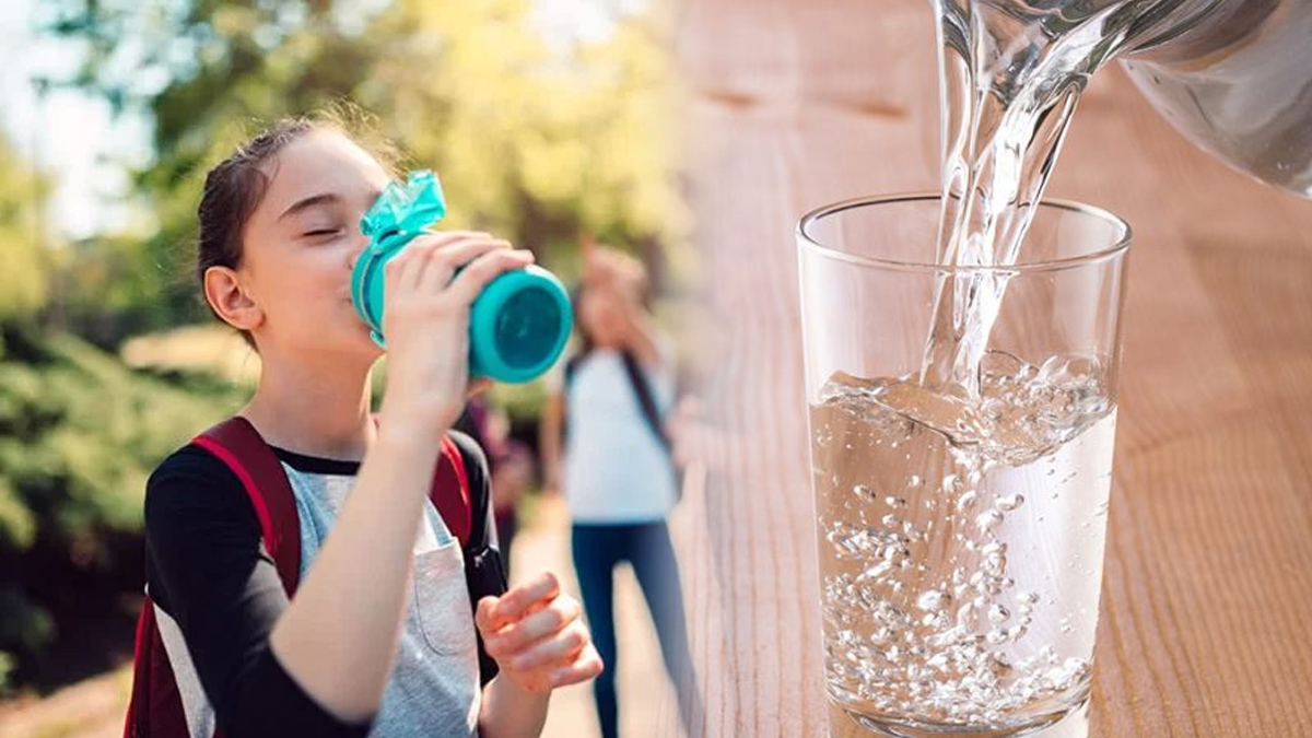 ನೀರನ್ನು ಫಿಲ್ಟರ್ ಇಲ್ಲದೆಯೇ ಶುದ್ಧ ಮಾಡುವ 5 ವಿಧಾನಗಳು Pure Water Ways to