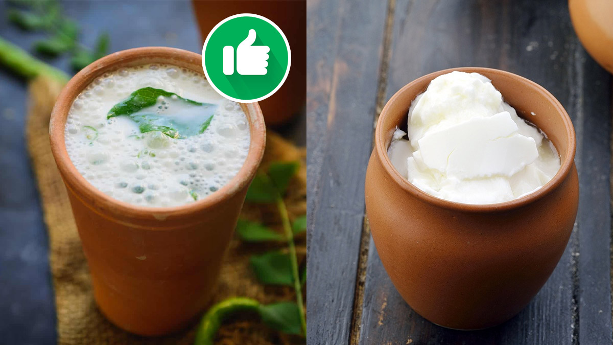 ಆರೋಗ್ಯದ ದೃಷ್ಟಿಯಿಂದ ಮೊಸರಿಗಿಂತ ಮಜ್ಜಿಗೆ ಬೆಸ್ಟ್ ಯಾಕೆ? Buttermilk vs Curd