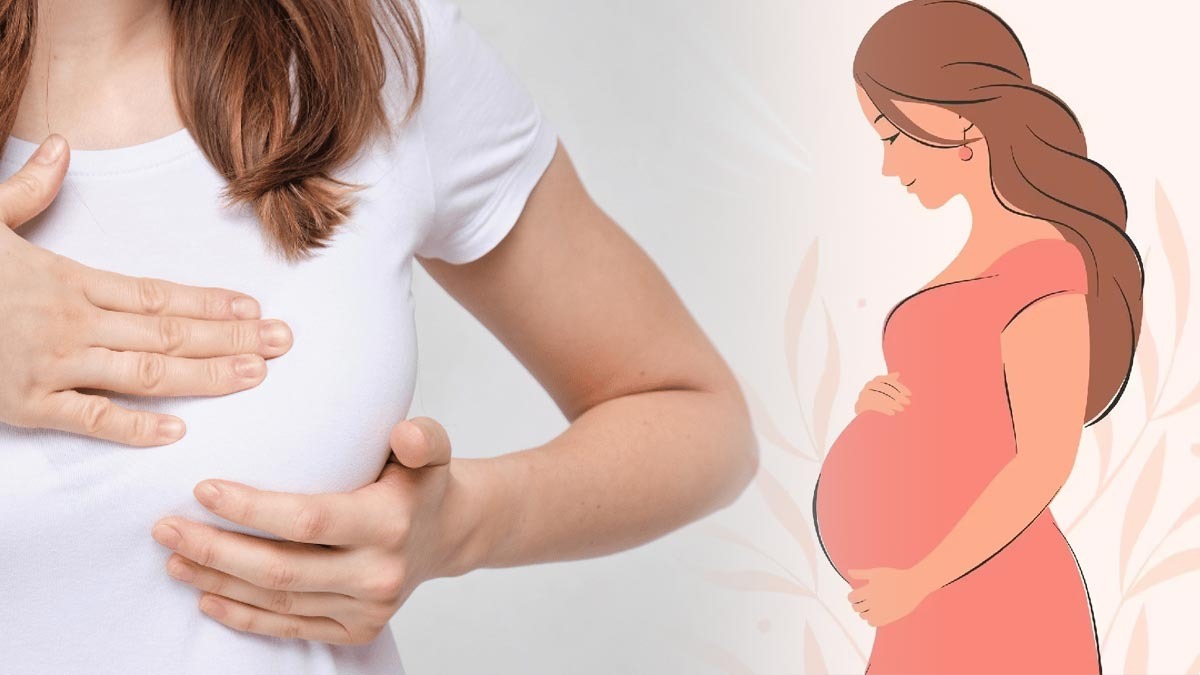 ಗರ್ಭಿಣಿಯಾಗಿದ್ದಾಗ ಸ್ತನದಲ್ಲಿ ಆಗುವುದು ಈ ಬದಲಾವಣೆ Breast Tenderness During