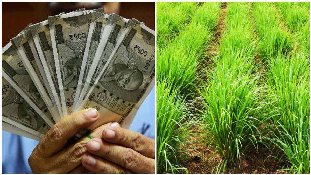 1 ರೂಪಾಯಿ ತೆರಿಗೆ ಕಟ್ಟದೆ ನಿಮ್ಮ ಅಷ್ಟೂ ಹಣ ಉಳಿಸೋದು ಹೇಗೆ.? ಈ ಟ್ರಿಕ್ಸ್ ಯಾರಿಗೆ