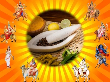 ಆಯುರ್ವೇದ:  ನವದುರ್ಗೆಯರ ಶಕ್ತಿ ಪಡೆದಿರುವ ಗಿಡಮೂಲಿಕೆಗಳಿವು
